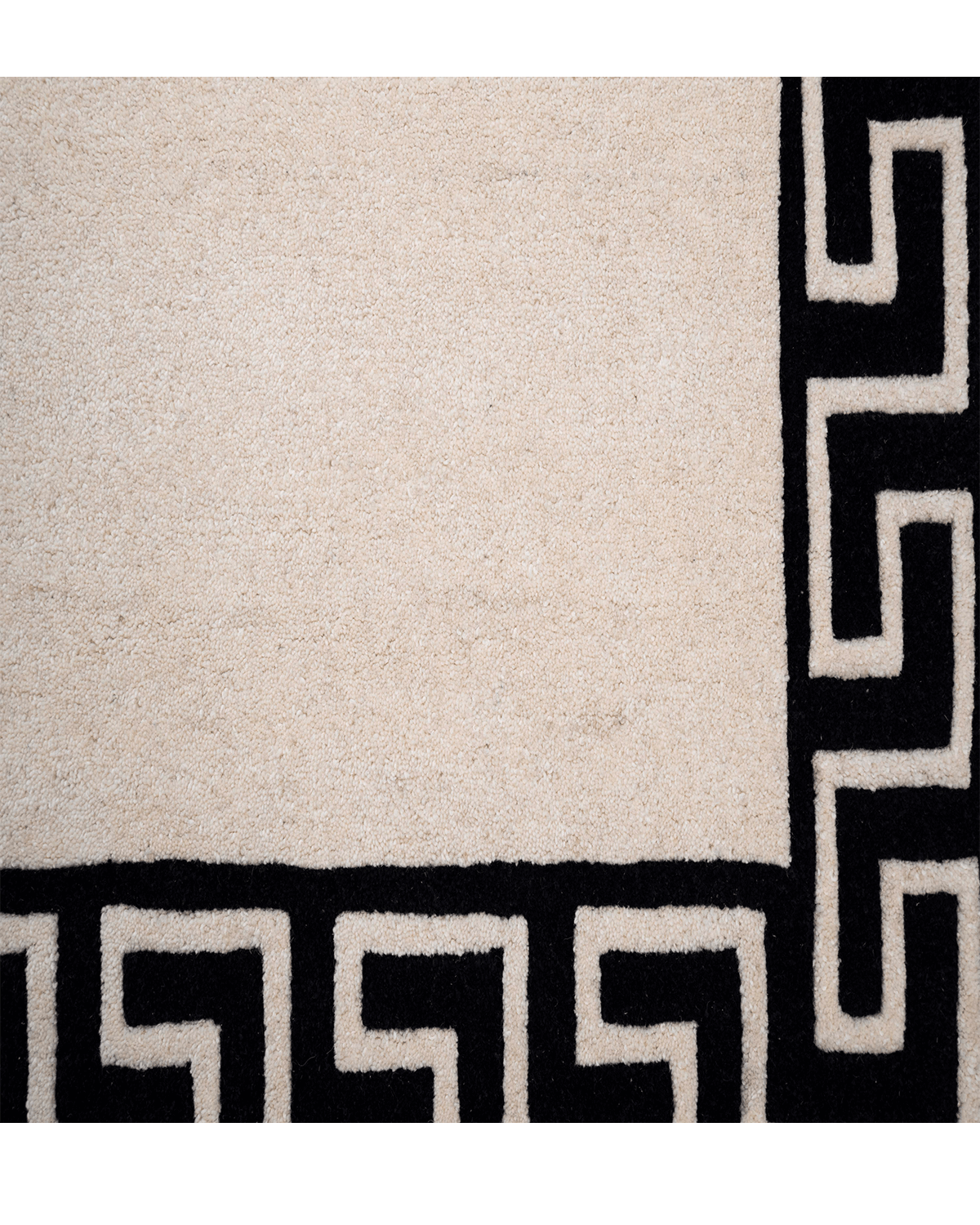 Modern Hand-tufted Rug (FR-TF-110-22)