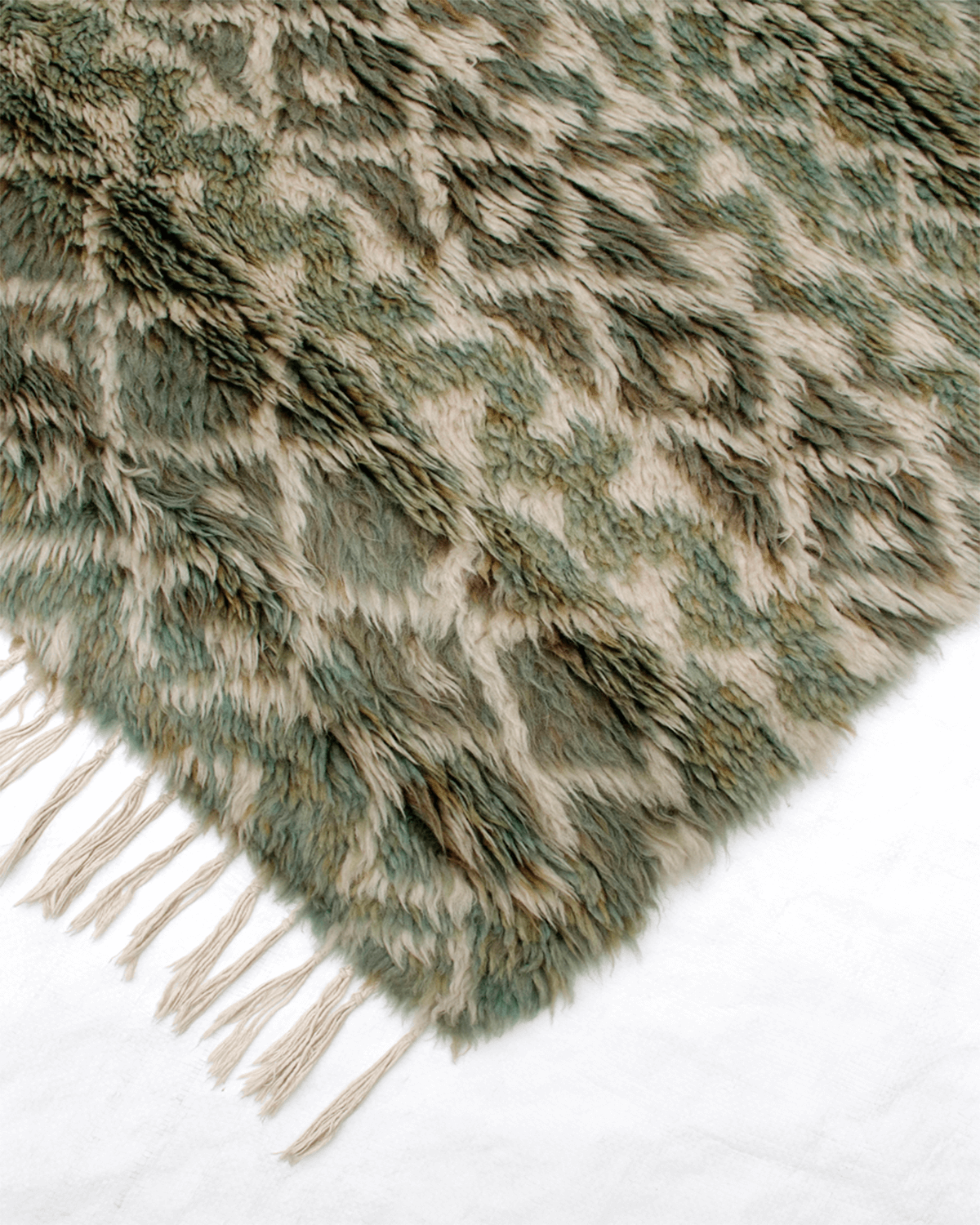 Hand-Knotted Modern Rug (AR-2D)